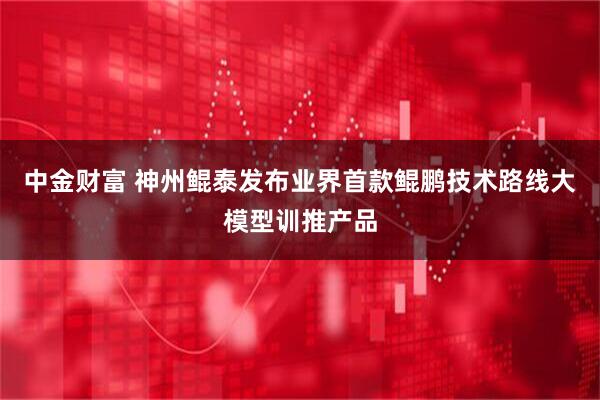 中金财富 神州鲲泰发布业界首款鲲鹏技术路线大模型训推产品